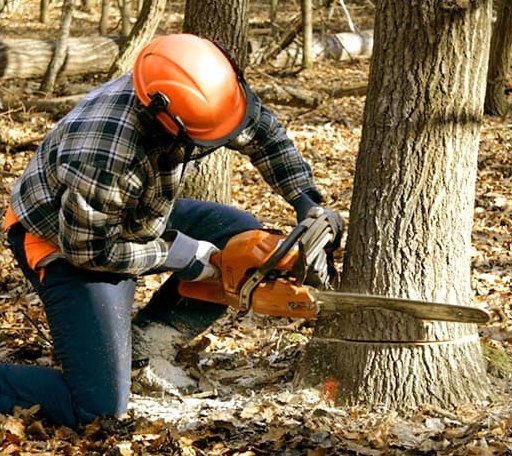 Tree Removal in Tuthill, SD